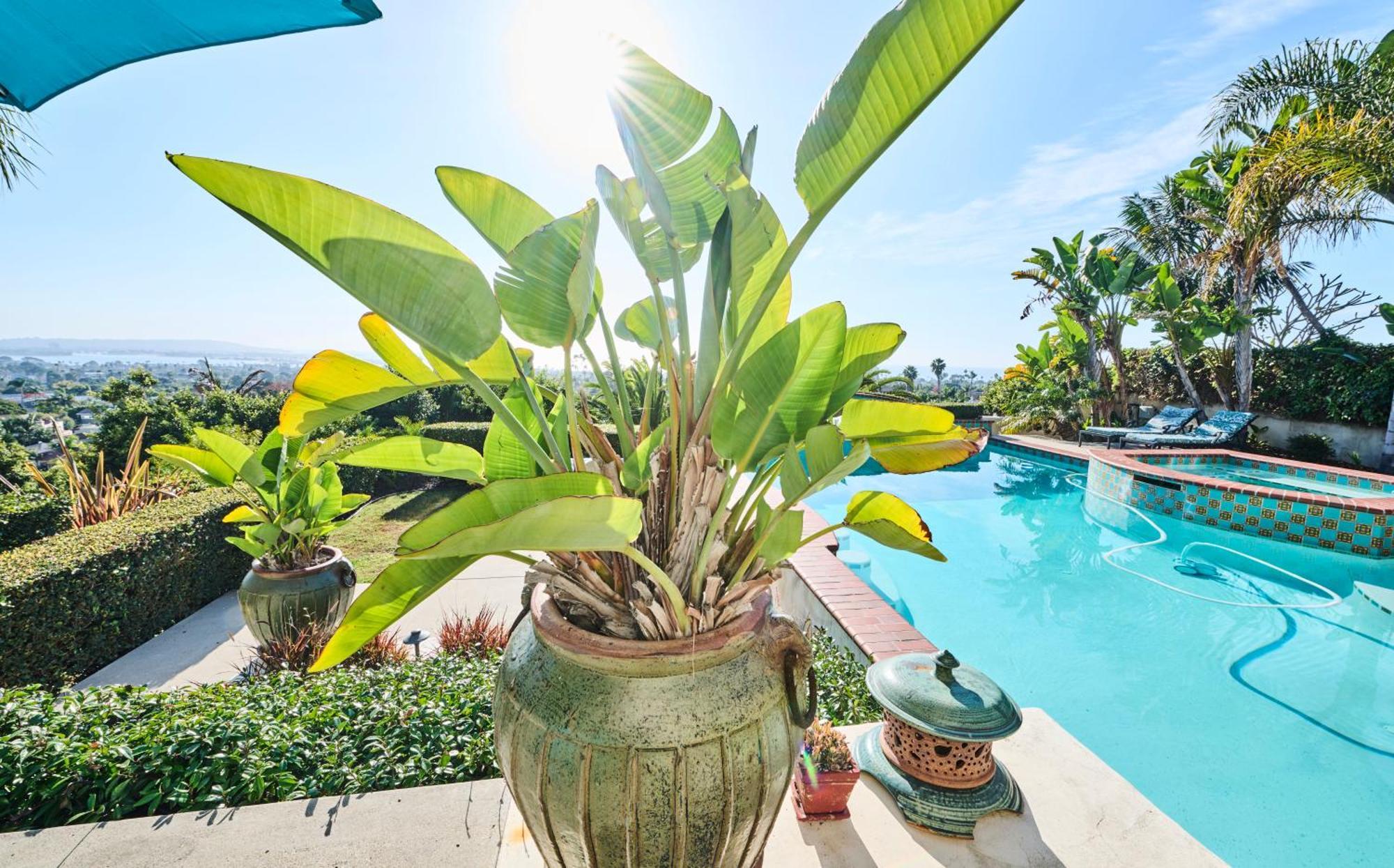 360 Degree Ocean & City Views With Pool, Spa, Close To The Beach! Pets Ok San Diego Extérieur photo